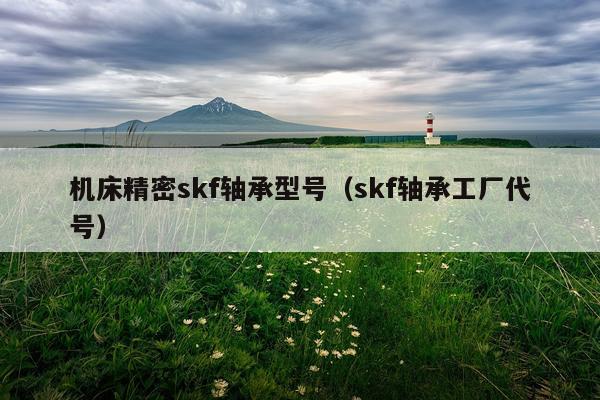机床精密skf轴承型号（skf轴承工厂代号）