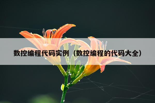 数控编程代码实例（数控编程的代码大全）