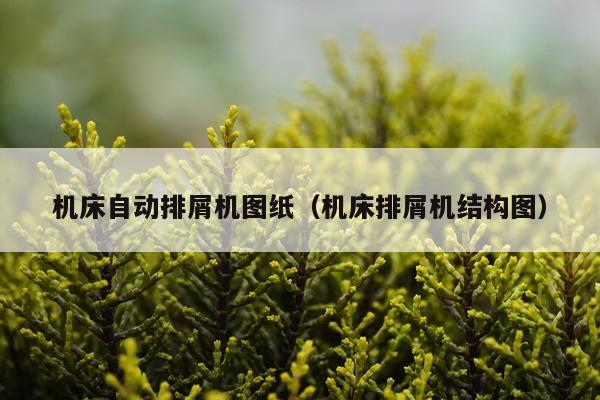 机床自动排屑机图纸（机床排屑机结构图）