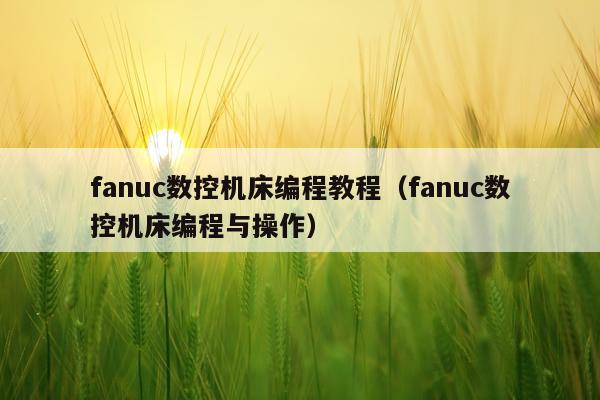 fanuc数控机床编程教程(fanuc数控机床编程与操作)