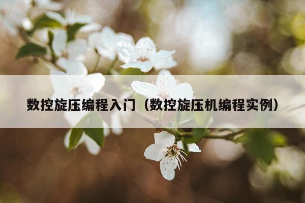 数控旋压编程入门(数控旋压机编程实例)