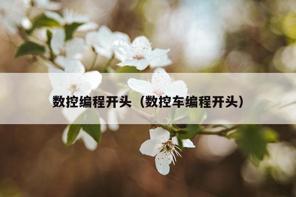 数控编程开头（数控车编程开头）