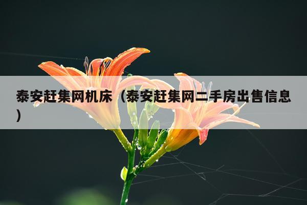泰安赶集网机床（泰安赶集网二手房出售信息）