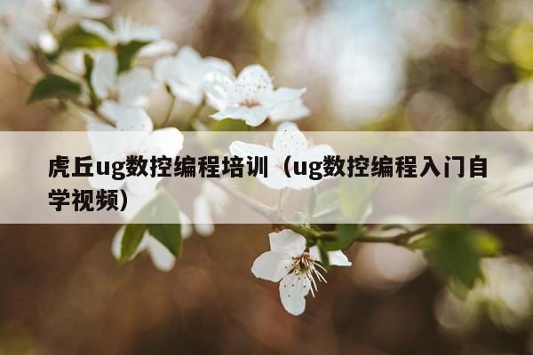 虎丘ug数控编程培训（ug数控编程入门自学视频）