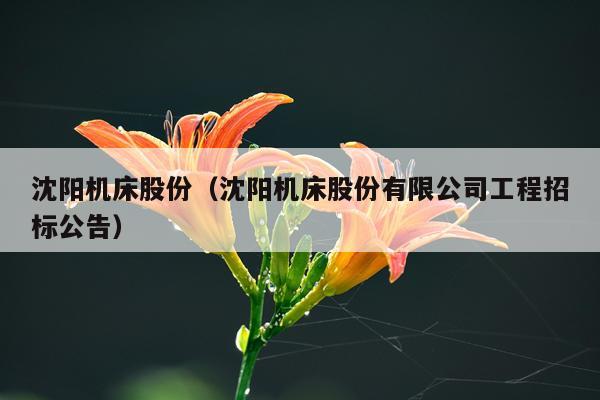 沈阳机床股份（沈阳机床股份有限公司工程招标公告）