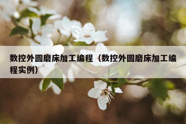 数控外圆磨床加工编程（数控外圆磨床加工编程实例）
