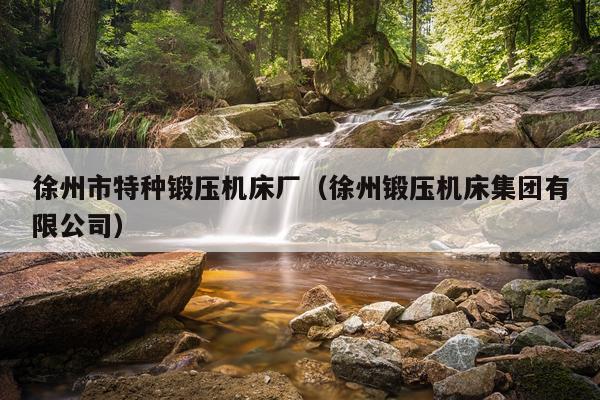 徐州市特种锻压机床厂（徐州锻压机床集团有限公司）
