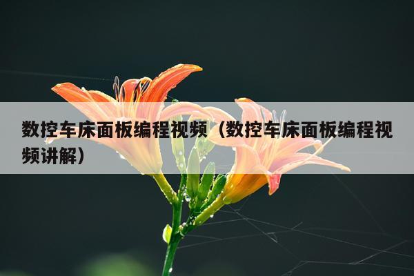数控车床面板编程视频（数控车床面板编程视频讲解）