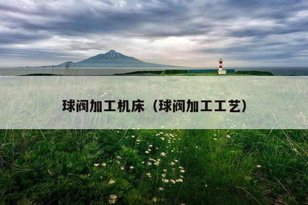 球阀加工机床（球阀加工工艺）