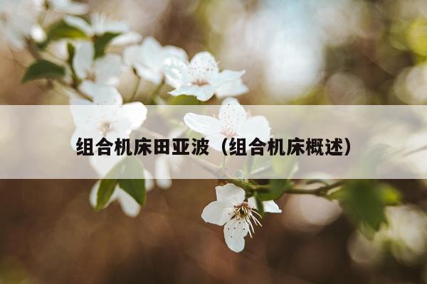 组合机床田亚波（组合机床概述）