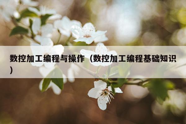 数控加工编程与操作(数控加工编程基础知识)