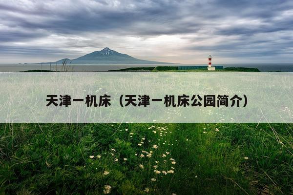 天津一机床（天津一机床公园简介）