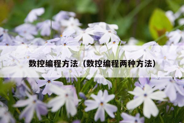 数控编程方法(数控编程两种方法)