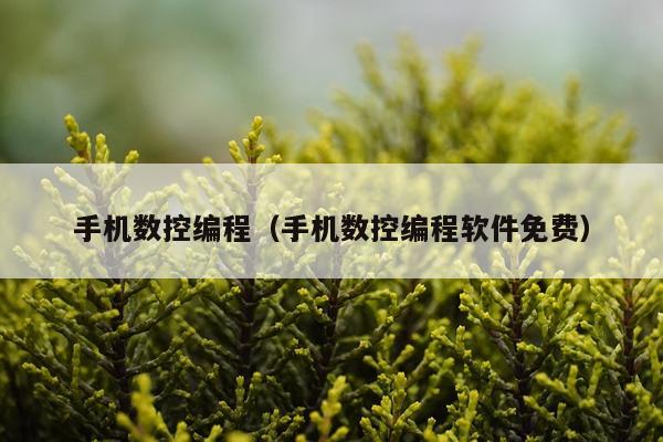 手机数控编程（手机数控编程软件免费）