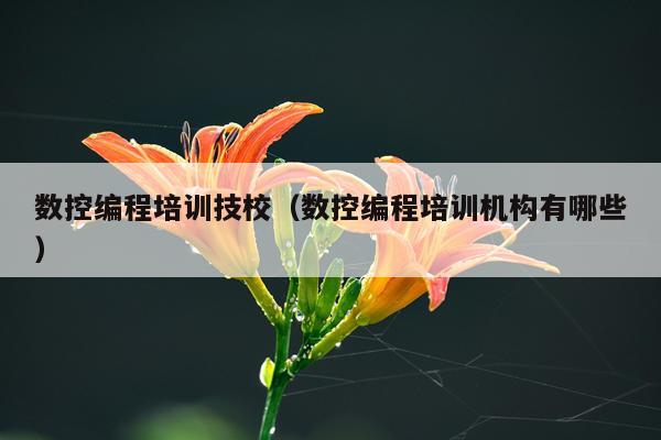 数控编程培训技校(数控编程培训机构有哪些)