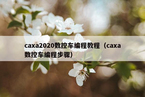 caxa2020数控车编程教程（caxa数控车编程步骤）