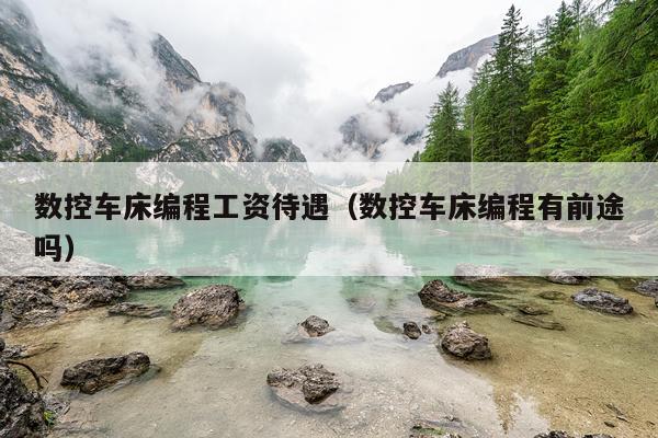 数控车床编程工资待遇（数控车床编程有前途吗）
