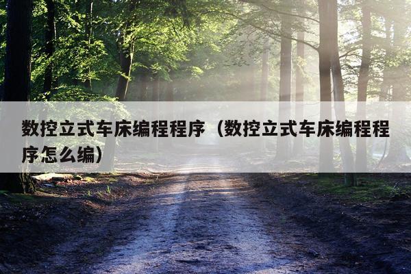 数控立式车床编程程序(数控立式车床编程程序怎么编)