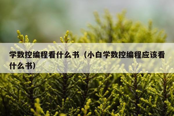 学数控编程看什么书（小白学数控编程应该看什么书）