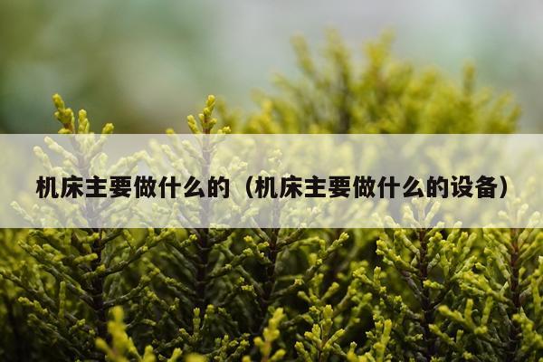 机床主要做什么的（机床主要做什么的设备）