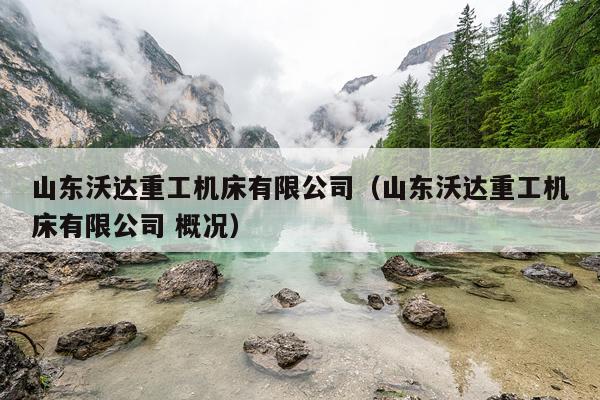 山东沃达重工机床有限公司（山东沃达重工机床有限公司 概况）