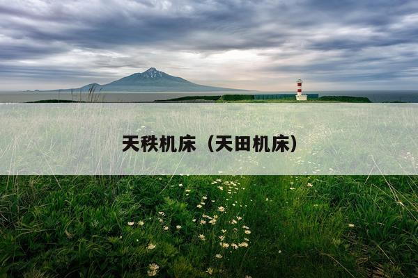 天秩机床（天田机床）