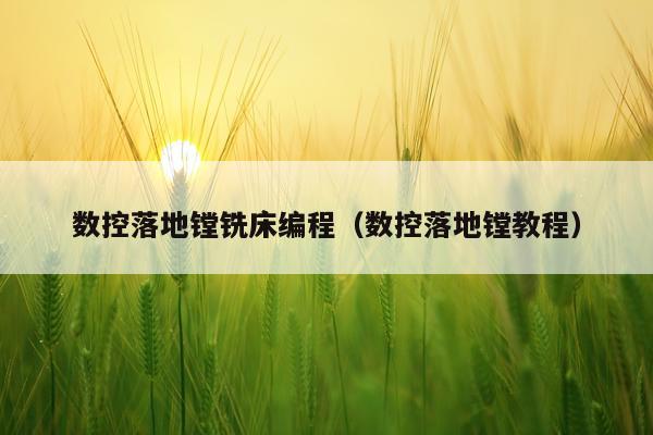 数控落地镗铣床编程（数控落地镗教程）