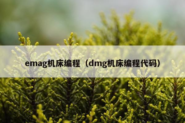emag机床编程（dmg机床编程代码）