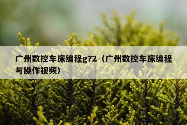 广州数控车床编程g72（广州数控车床编程与操作视频）