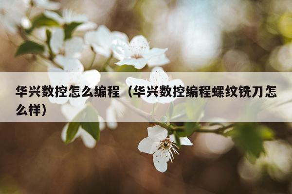 华兴数控怎么编程（华兴数控编程螺纹铣刀怎么样）