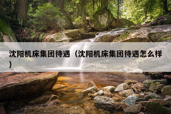 沈阳机床集团待遇（沈阳机床集团待遇怎么样）
