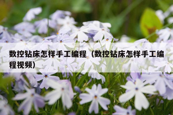 数控钻床怎样手工编程（数控钻床怎样手工编程视频）