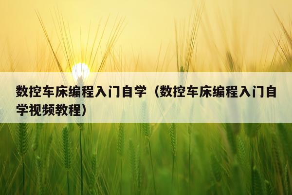 数控车床编程入门自学（数控车床编程入门自学视频教程）