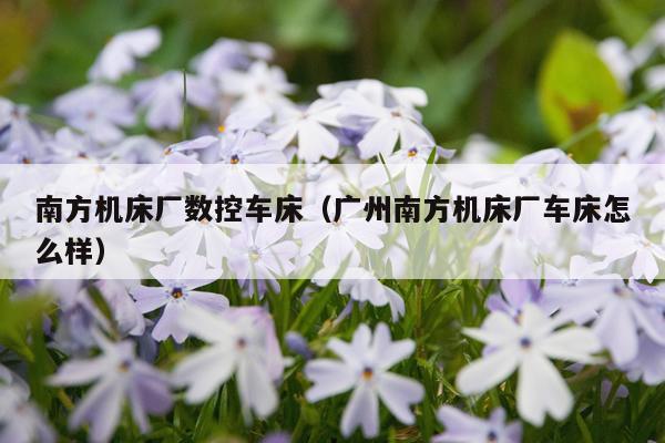 南方机床厂数控车床(广州南方机床厂车床怎么样)