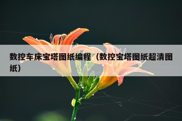 数控车床宝塔图纸编程（数控宝塔图纸超清图纸）