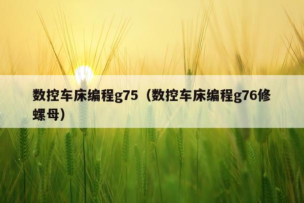 数控车床编程g75(数控车床编程g76修螺母)