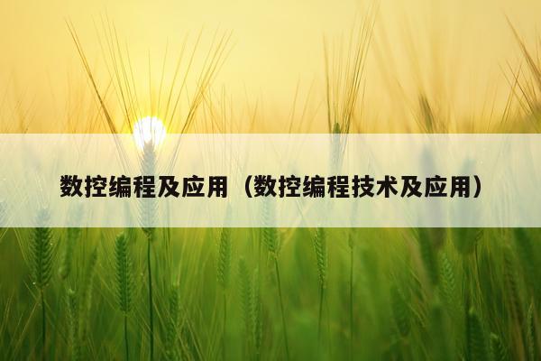 数控编程及应用（数控编程技术及应用）