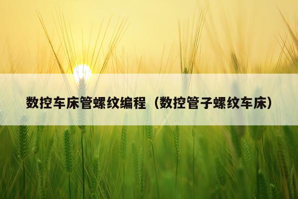 数控车床管螺纹编程(数控管子螺纹车床)