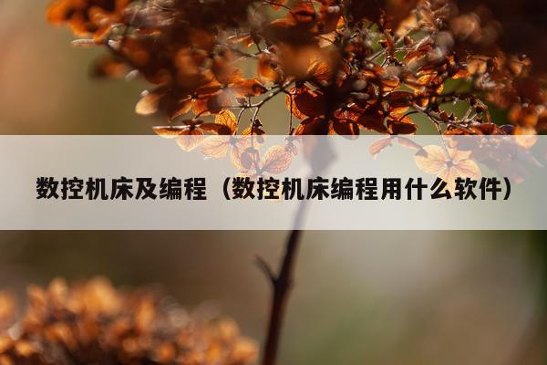 数控机床及编程(数控机床编程用什么软件)
