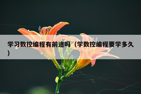 学习数控编程有前途吗（学数控编程要学多久）