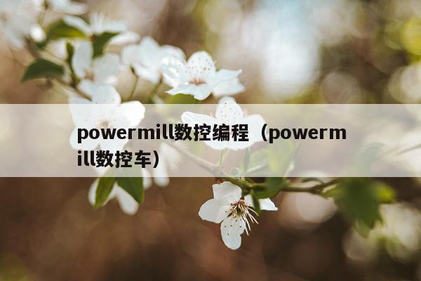 powermill数控编程(powermill数控车)