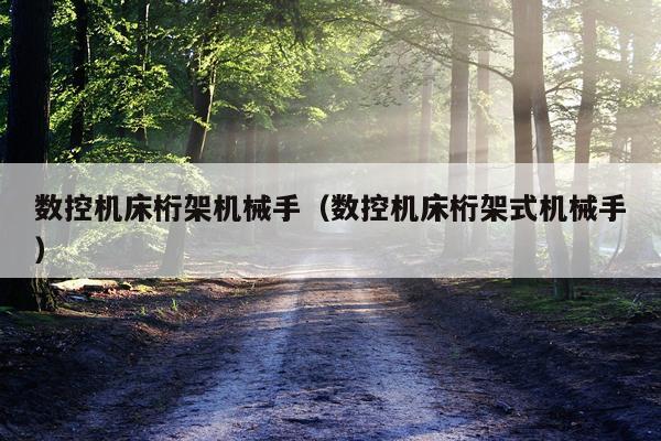 数控机床桁架机械手（数控机床桁架式机械手）