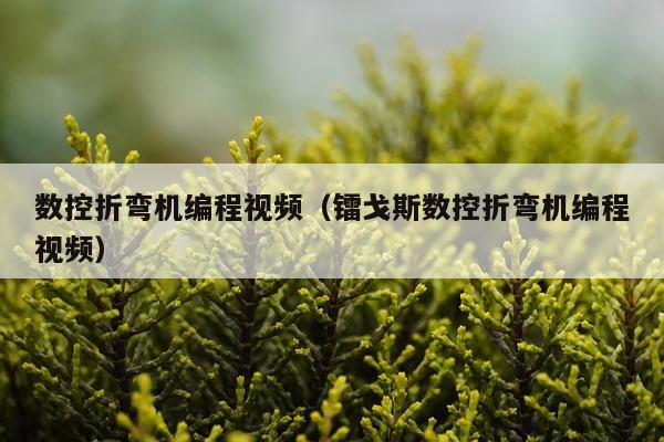 数控折弯机编程视频（镭戈斯数控折弯机编程视频）