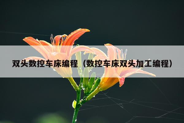 双头数控车床编程（数控车床双头加工编程）