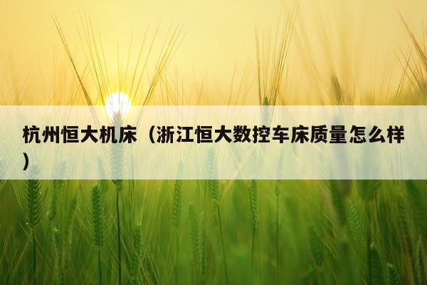 杭州恒大机床(浙江恒大数控车床质量怎么样)