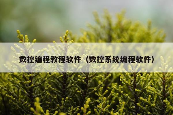 数控编程教程软件(数控系统编程软件)