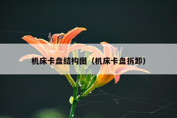 机床卡盘结构图（机床卡盘拆卸）