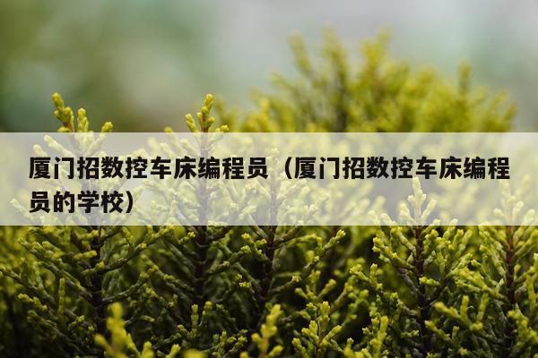 厦门招数控车床编程员（厦门招数控车床编程员的学校）