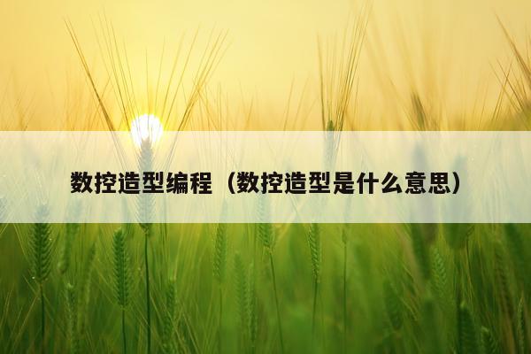 数控造型编程（数控造型是什么意思）