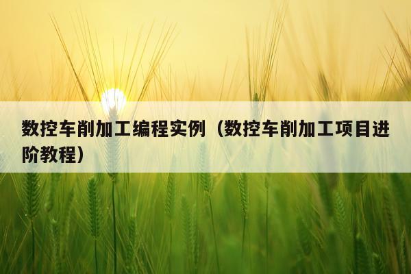 数控车削加工编程实例（数控车削加工项目进阶教程）